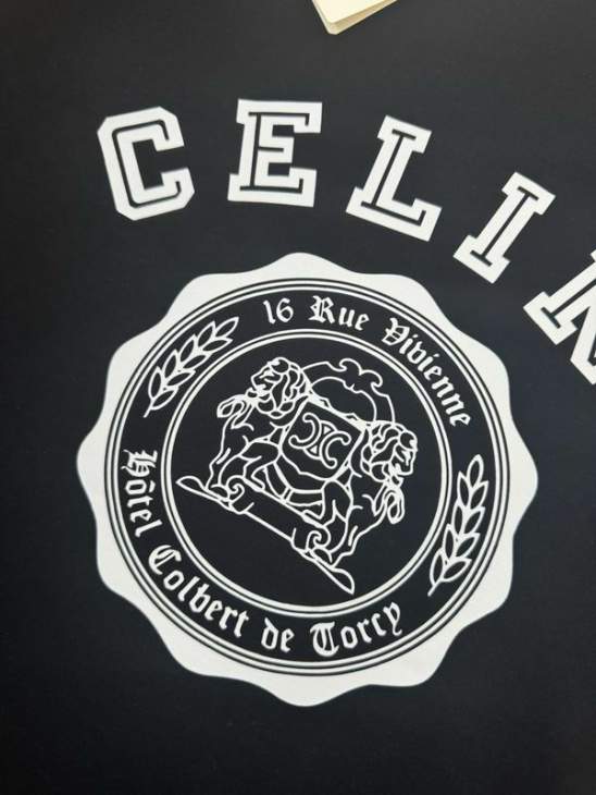 Picture of Celine T Shirts Short _SKUCelineS-2XLxetr1418705